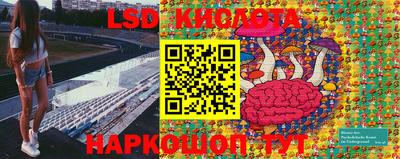 мдпв Кимры