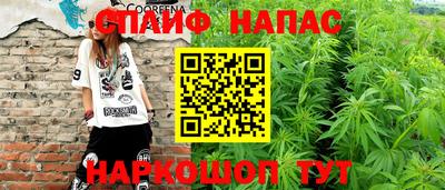 мдпв Кимры