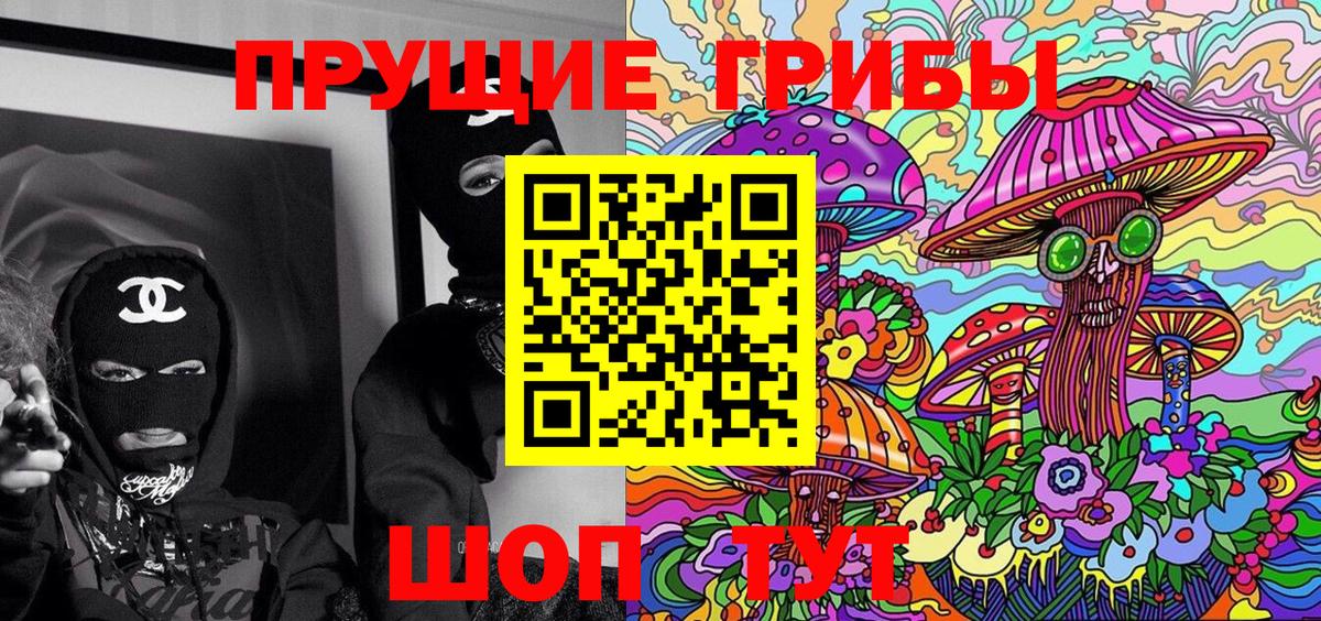 Шадринск  Псилоцибиновые грибы Psilocybe  Вход с VPN 